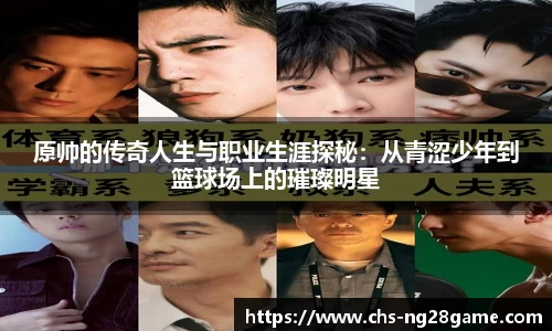 ng28官网