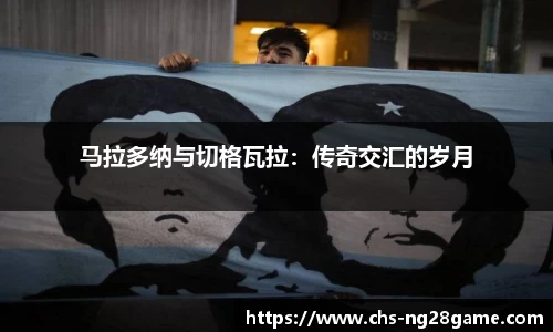 ng28官网